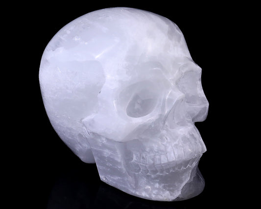 8.3" Selenite Hand Carved Crystal Realistic Skull Sculpture Crystallumi