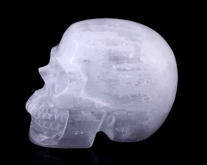 8.3" Selenite Hand Carved Crystal Realistic Skull Sculpture Crystallumi