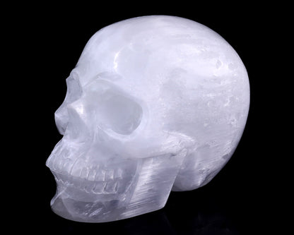 8.3" Selenite Hand Carved Crystal Realistic Skull Sculpture Crystallumi