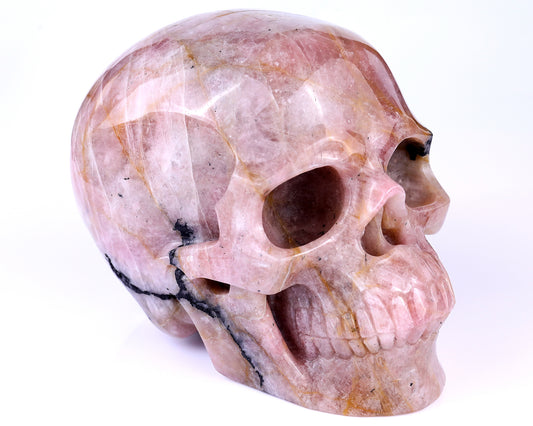 8.5" Rubellite Tourmaline Hand Carved Crystal Realistic Skull Sculpture Crystallumi