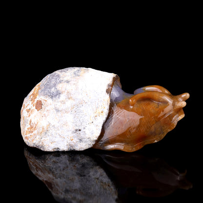 8.7" Chalcedony Hand Carved Crystal Snail Sculpture Crystallumi