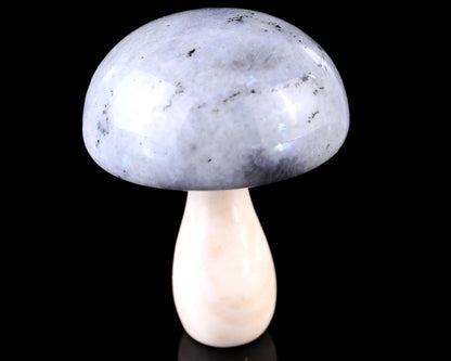 80mm Labradorite Hand Carved Crystal Mushroom Sculpture Crystallumi