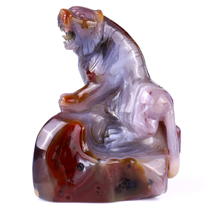 Amazing 4.8" Red Geode Agate Hand Carved Crystal Tiger Sculpture Crystallumi