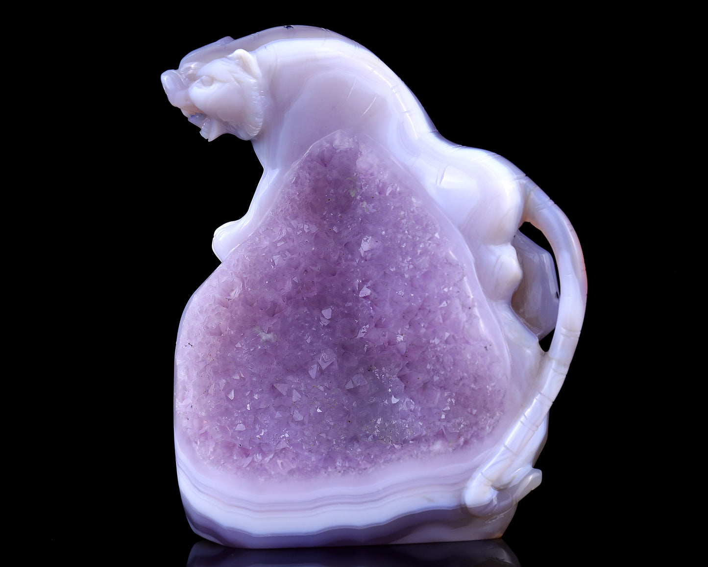 Amazing 5.0" Amethyst Druse Agate Hand Carved Crystal Tiger Sculpture Crystallumi