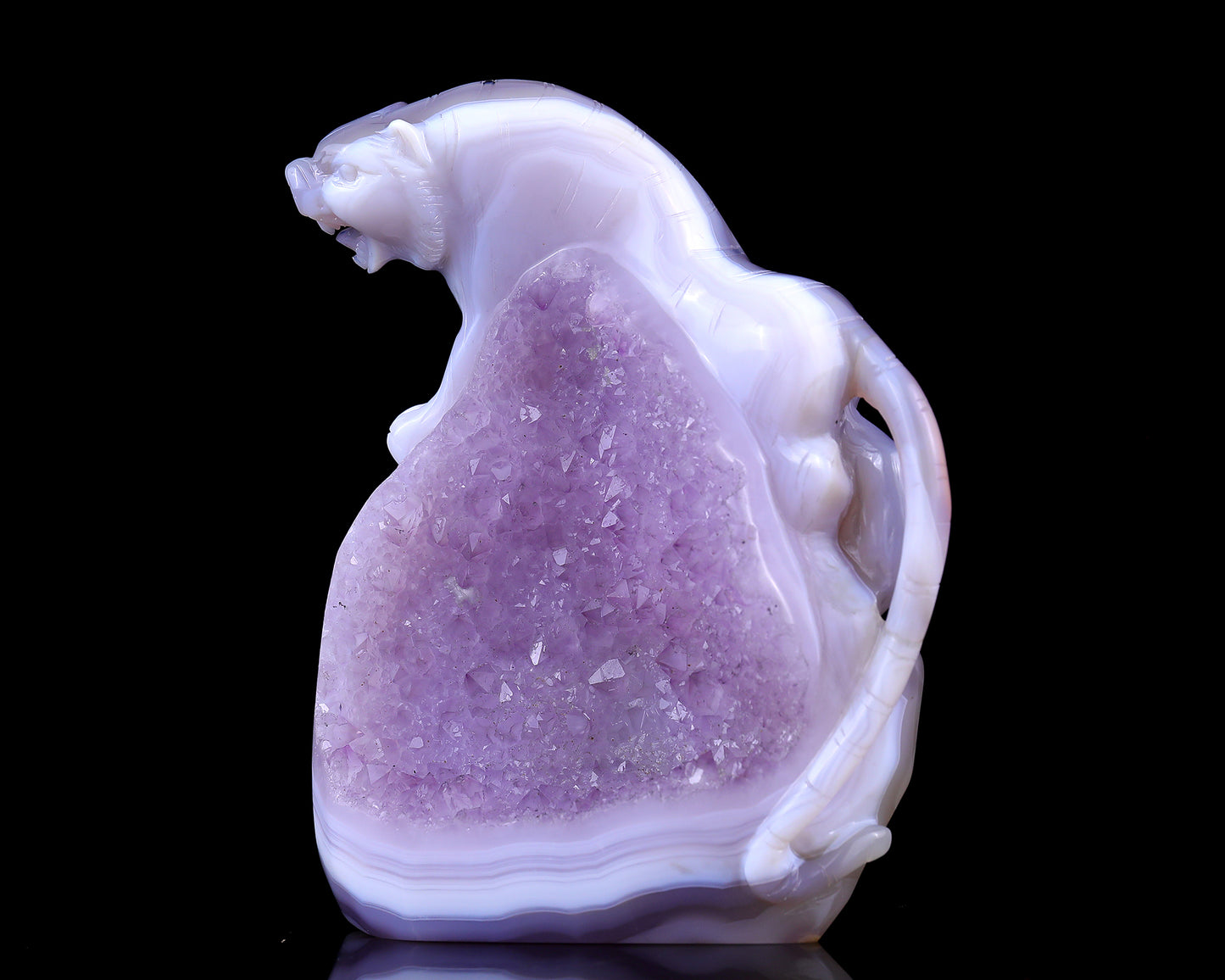 Amazing 5.0" Amethyst Druse Agate Hand Carved Crystal Tiger Sculpture Crystallumi