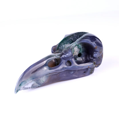 Amazing 5.5" Geode Agate Hand Carved Crystal Raven Skull Sculpture Crystallumi