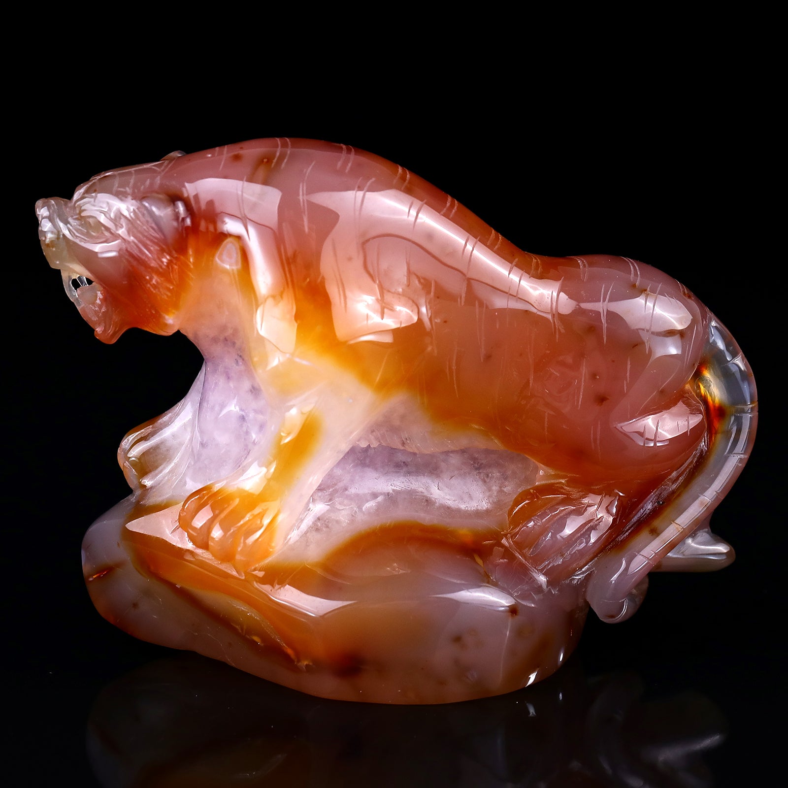 Amazing 5.6" Red Geode Agate Hand Carved Crystal Tiger Sculpture Crystallumi