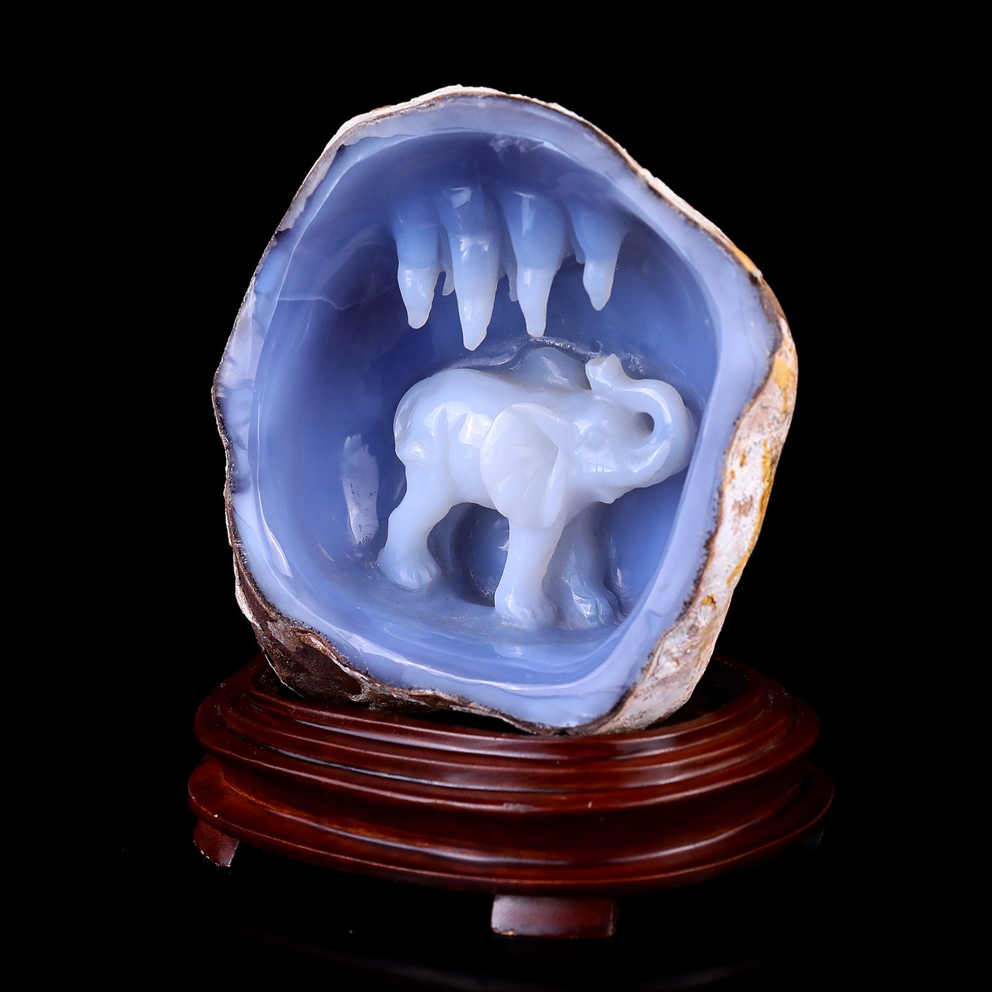 Amazing 5.7" Blue Chalcedony Hand Carved Crystal Elephant Sculpture Crystallumi