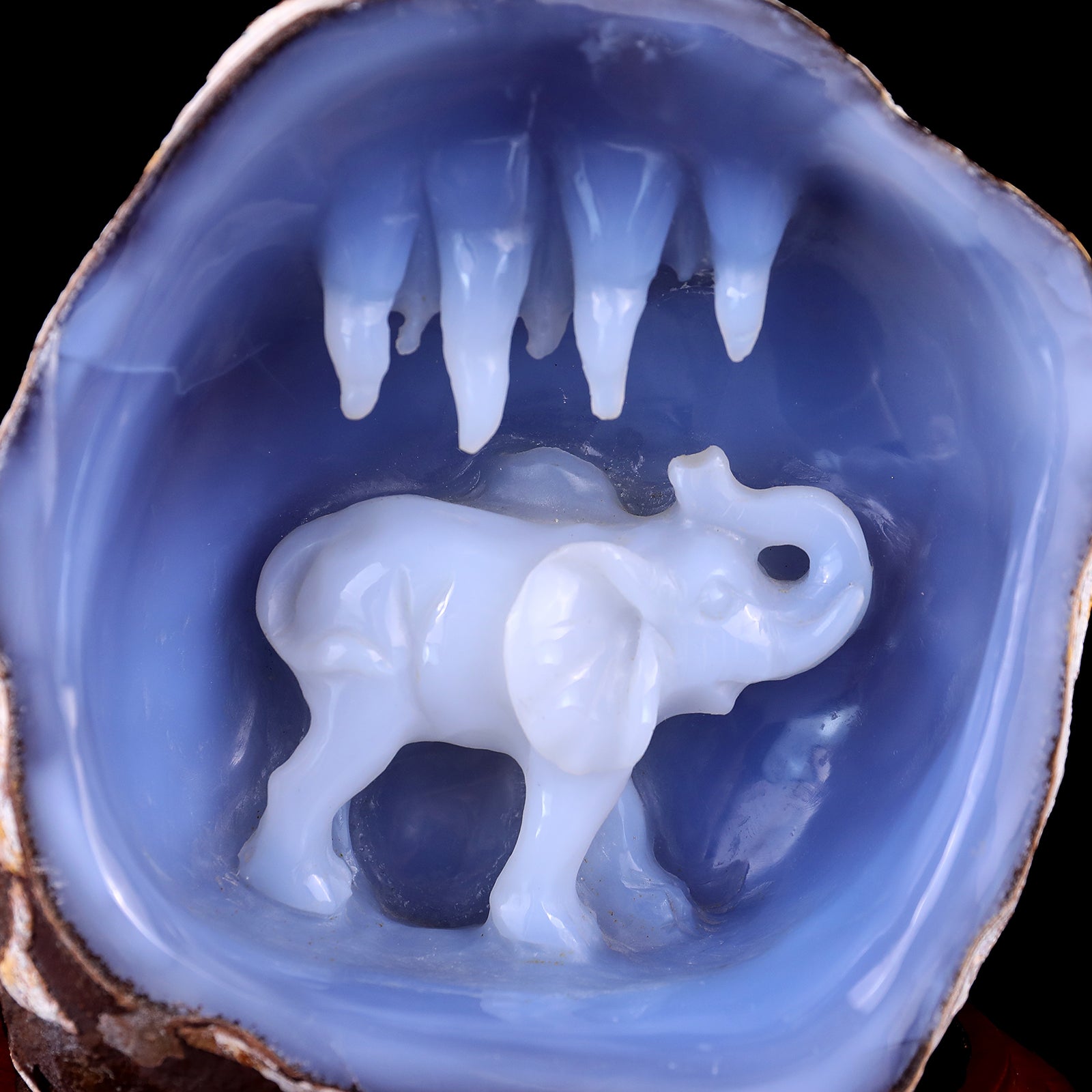 Amazing 5.7" Blue Chalcedony Hand Carved Crystal Elephant Sculpture Crystallumi