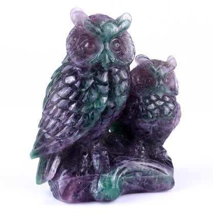 Amazing 6.1" Fluorite Hand Carved Crystal Owls Sculpture Crystallumi