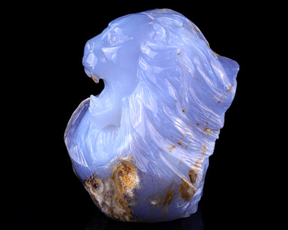 Amazing 6.7" Blue Chalcedony Hand Carved Crystal Lion Head Sculpture Crystallumi