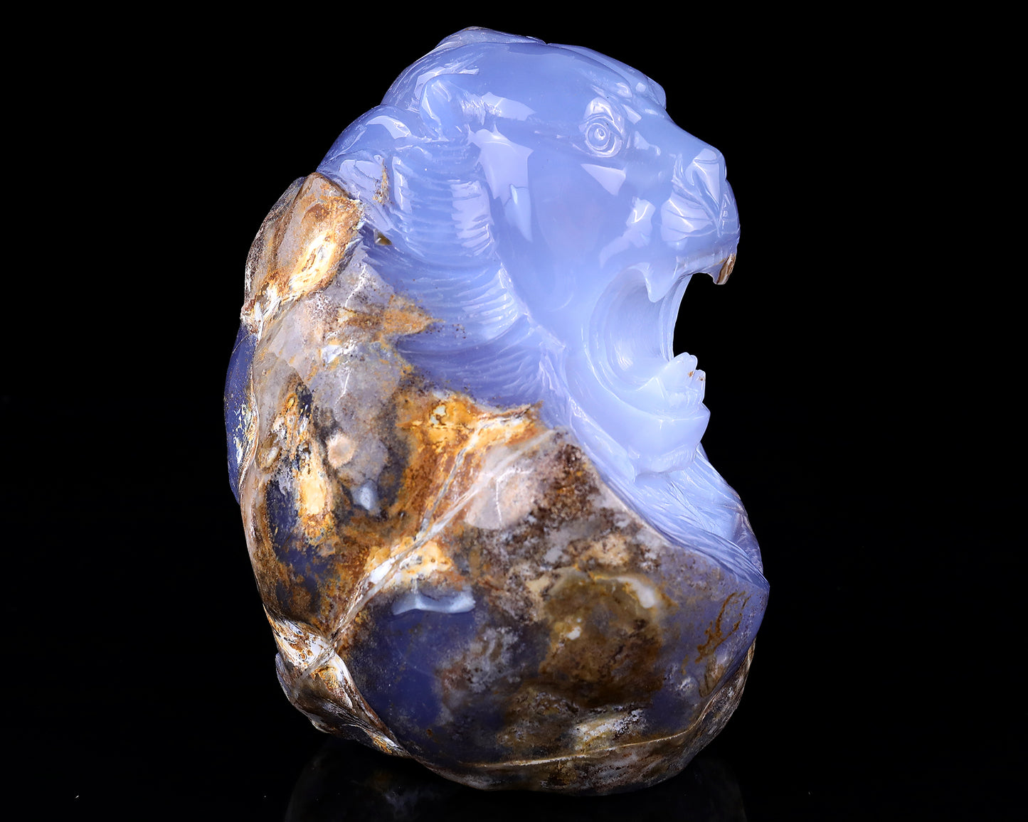 Amazing 6.7" Blue Chalcedony Hand Carved Crystal Lion Head Sculpture Crystallumi