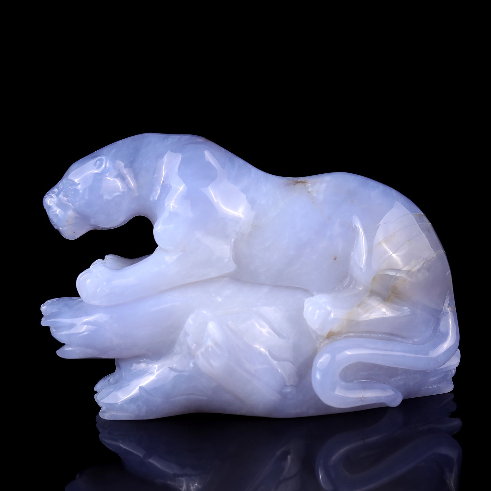 Amazing 7.1" Blue Chalcedony Hand Carved Crystal Leopard Sculpture Crystallumi