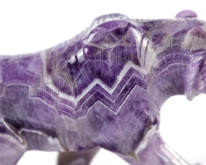 Amazing 8.9" Dream Amethyst Hand Carved Crystal Tiger Sculpture Crystallumi