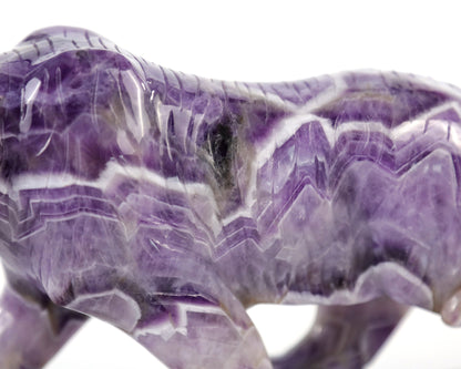 Amazing 8.9" Dream Amethyst Hand Carved Crystal Tiger Sculpture Crystallumi