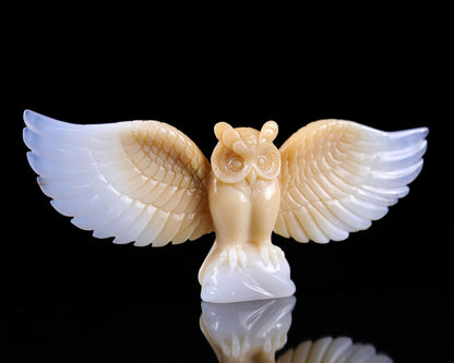 Amazing 9.3" Blue Chalcedony Hand Carved Crystal Owl Sculpture Crystallumi