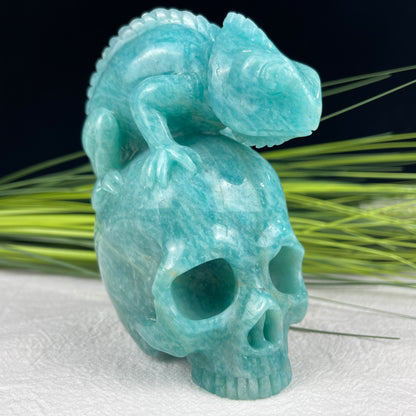 Amazing Gemstone Amazonite Carved Crystal Skull With Lizard Sculpture Crystallumi