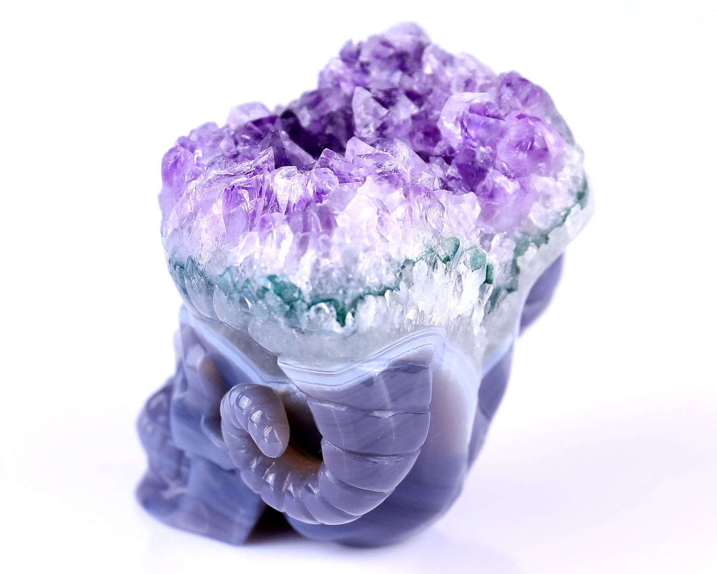 Unique 2.9" Amethyst Druse Agate Hand Carved Mineral Specimen Skull with Horn Sculpture Crystallumi