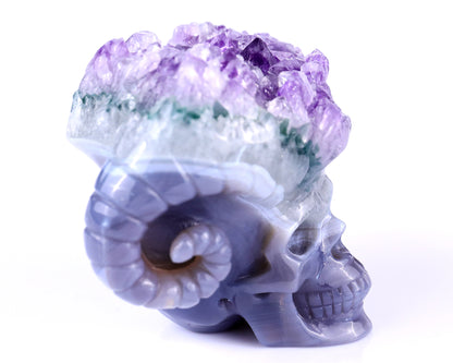 Unique 2.9" Amethyst Druse Agate Hand Carved Mineral Specimen Skull with Horn Sculpture Crystallumi