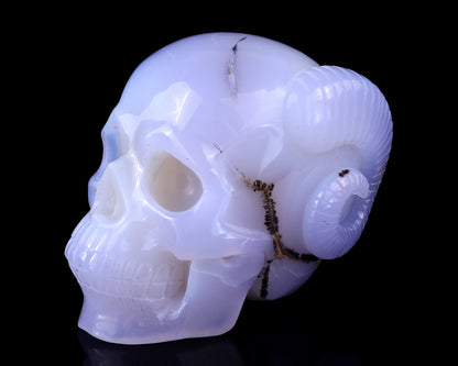 Unique 3.9" Blue Chalcedony Hand Carved Crystal Realistic Skull and Horn Sculpture Crystallumi