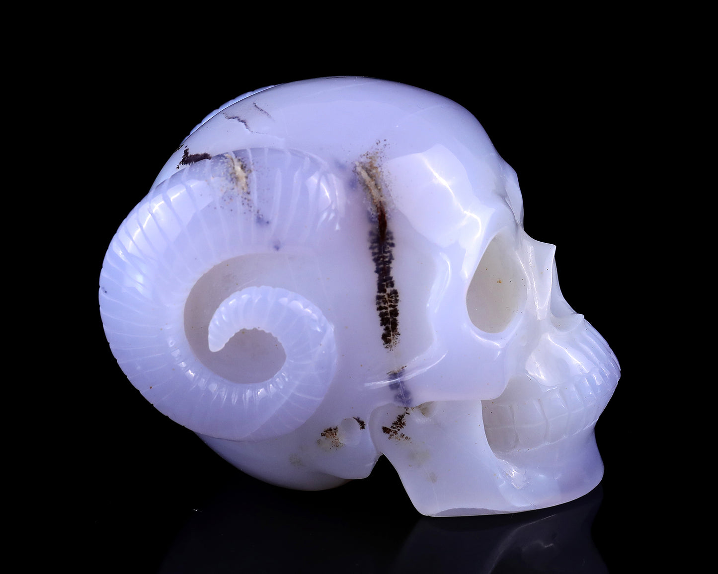 Unique 3.9" Blue Chalcedony Hand Carved Crystal Realistic Skull and Horn Sculpture Crystallumi