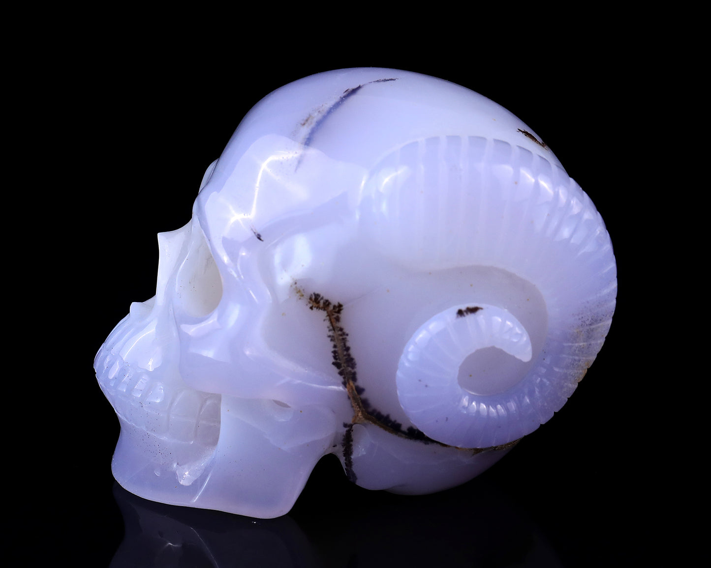 Unique 3.9" Blue Chalcedony Hand Carved Crystal Realistic Skull and Horn Sculpture Crystallumi