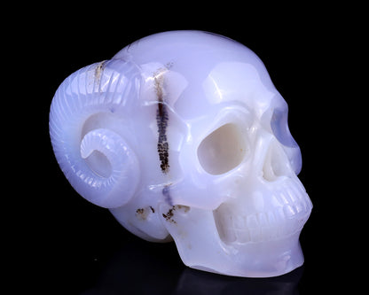 Unique 3.9" Blue Chalcedony Hand Carved Crystal Realistic Skull and Horn Sculpture Crystallumi