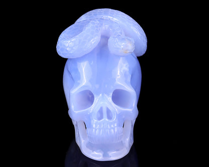 Unique 4.5" Blue Chalcedony Hand Carved Crystal Realistic Skull with Snake Sculpture Crystallumi