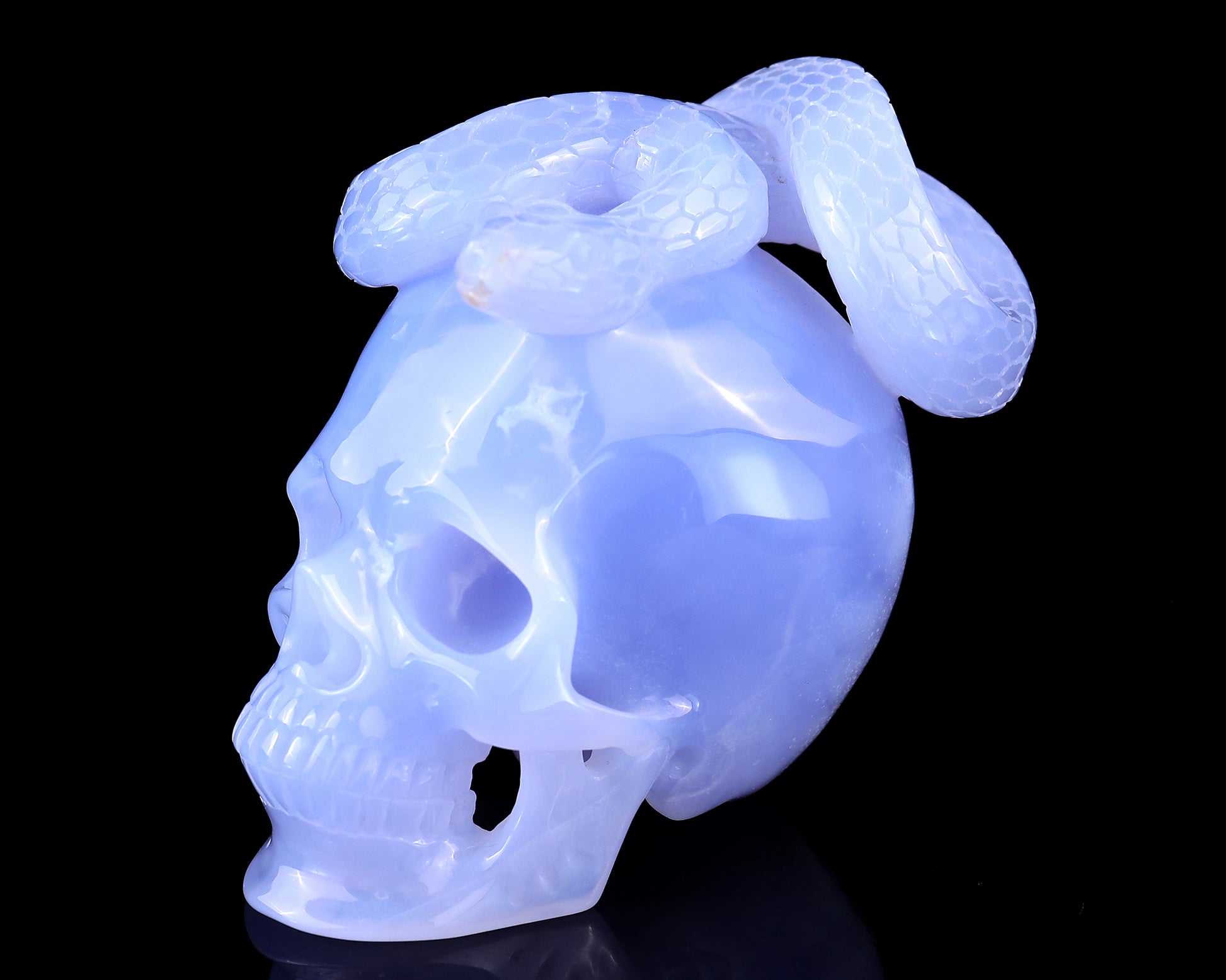 Unique 4.5" Blue Chalcedony Hand Carved Crystal Realistic Skull with Snake Sculpture Crystallumi