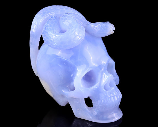 Unique 4.5" Blue Chalcedony Hand Carved Crystal Realistic Skull with Snake Sculpture Crystallumi