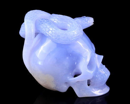 Unique 4.5" Blue Chalcedony Hand Carved Crystal Realistic Skull with Snake Sculpture Crystallumi