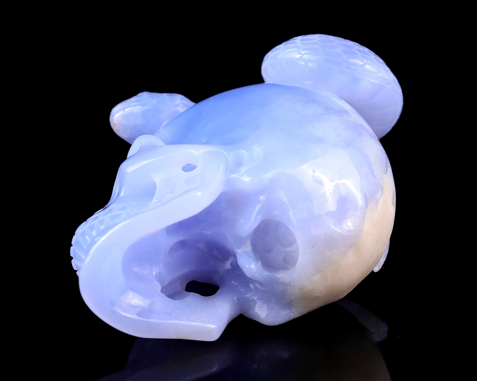 Unique 4.5" Blue Chalcedony Hand Carved Crystal Realistic Skull with Snake Sculpture Crystallumi