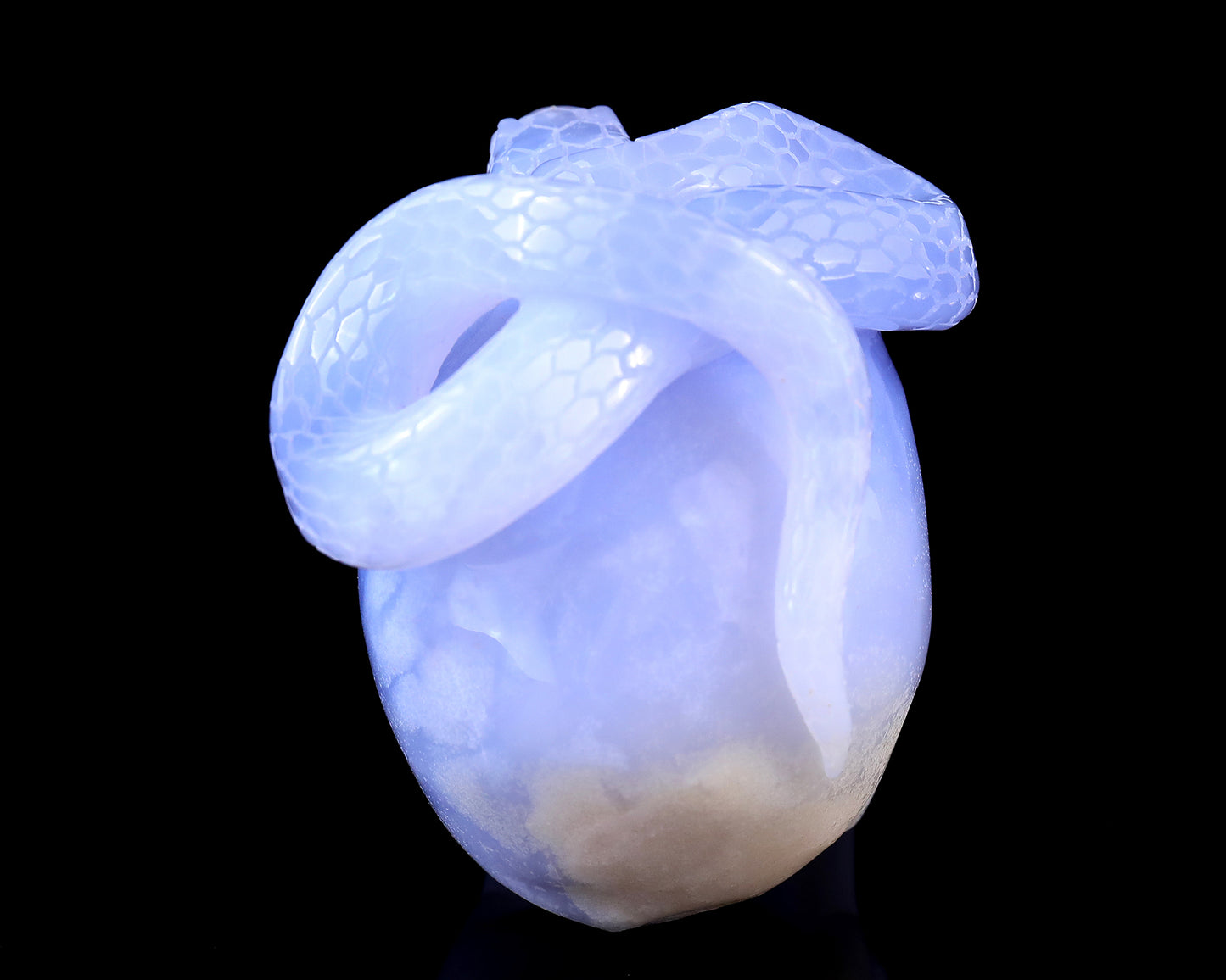 Unique 4.5" Blue Chalcedony Hand Carved Crystal Realistic Skull with Snake Sculpture Crystallumi