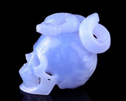 Unique 4.5" Blue Chalcedony Hand Carved Crystal Realistic Skull with Snake Sculpture Crystallumi