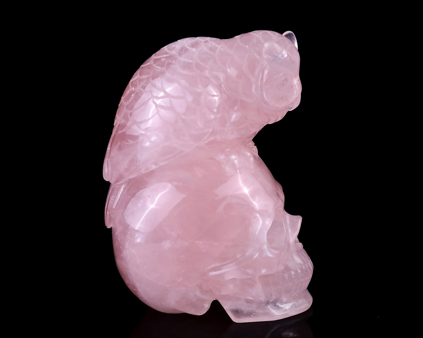 Unique 5.5" Rose Quartz Hand Carved Crystal Realistic Skull with Owl Sculpture Crystallumi