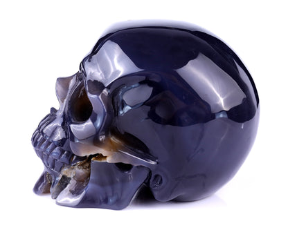 Unique 6.1" Geode Agate Hand Carved Crystal Geode Skull Sculpture Crystallumi