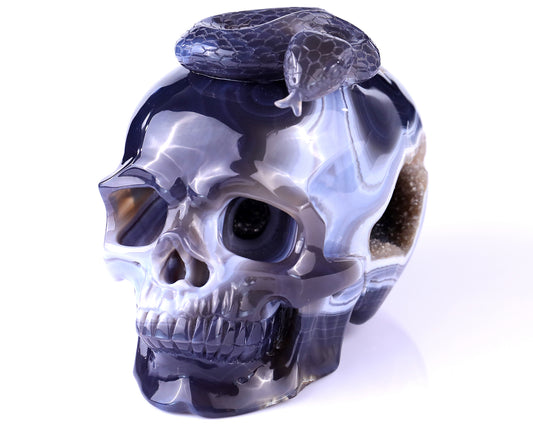 Unique 7.1" Amethyst Geode Agate Hand Carved Crystal Geode Skull Sculpture Crystallumi