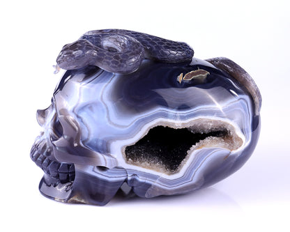 Unique 7.1" Amethyst Geode Agate Hand Carved Crystal Geode Skull Sculpture Crystallumi