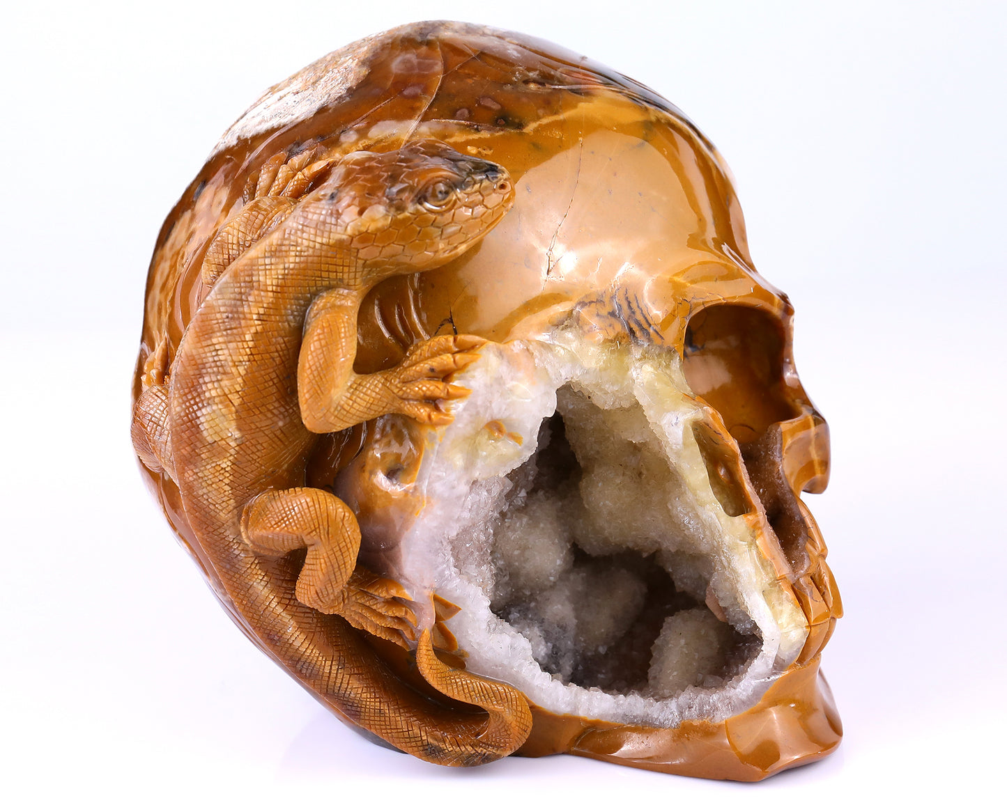 Unique 7.9" Chalcedony Hand Carved Crystal Geode Skull with Lizard Sculpture Crystallumi