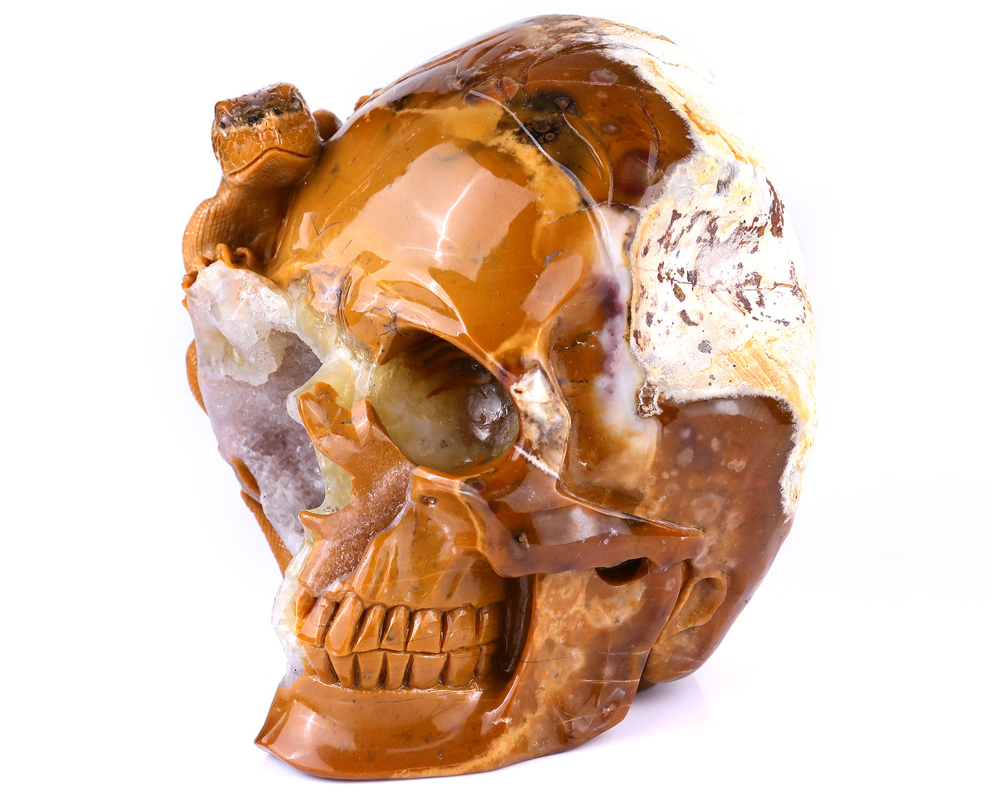 Unique 7.9" Chalcedony Hand Carved Crystal Geode Skull with Lizard Sculpture Crystallumi