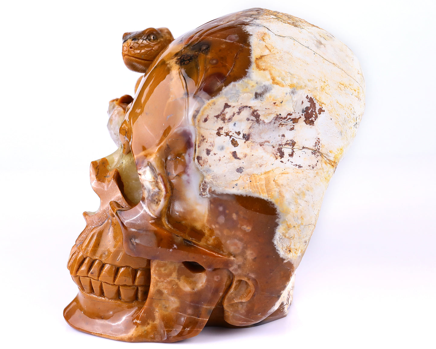 Unique 7.9" Chalcedony Hand Carved Crystal Geode Skull with Lizard Sculpture Crystallumi