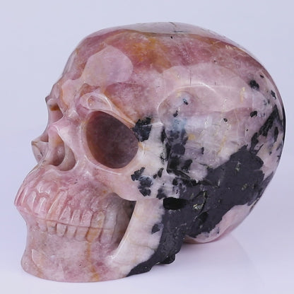 8.5" Rubellite Tourmaline Hand Carved Crystal Realistic Skull Sculpture