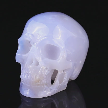 4.6" Blue Chalcedony Hand Carved Crystal Realistic Skull Sculpture