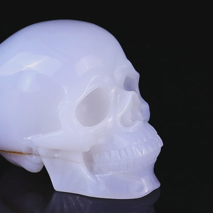 5.6" Blue Chalcedony Hand Carved Crystal Realistic Skull Sculpture