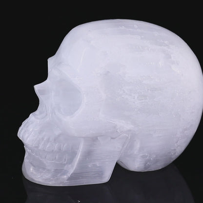 8.3" Selenite Hand Carved Crystal Realistic Skull Sculpture