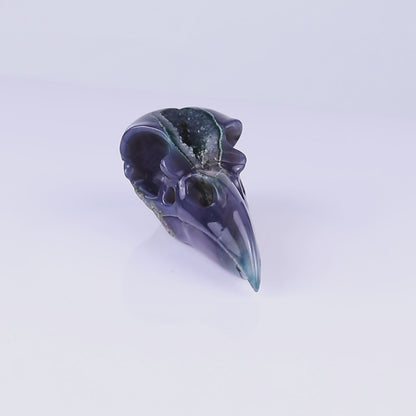 Amazing 5.5" Geode Agate Hand Carved Crystal Raven Skull Sculpture