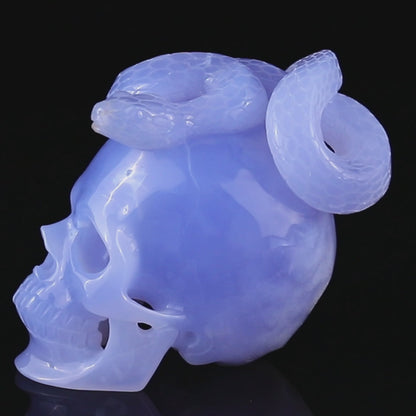 Unique 4.5" Blue Chalcedony Hand Carved Crystal Realistic Skull with Snake Sculpture